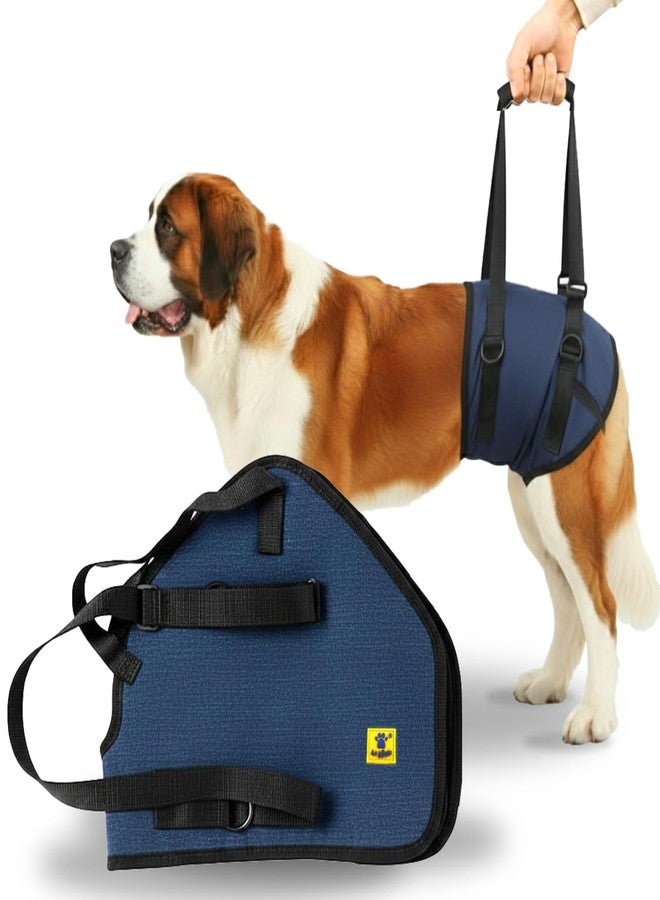 A+a Pets حزام دعم رفع الأرجل الخلفية للكلاب من A+a Pets' MAA' | للكلاب المعاقة والمسنة والمصابة والمشلولة والمصابة بالتهاب المفاصل (أزرق داكن/متعدد الألوان، 3XL) - Image 1